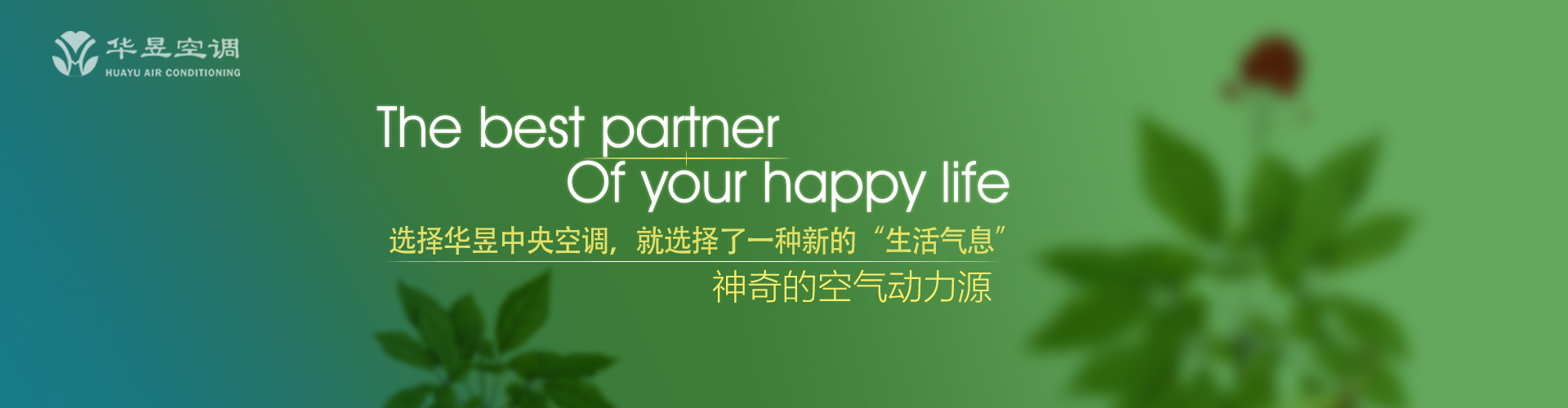 十年教训网